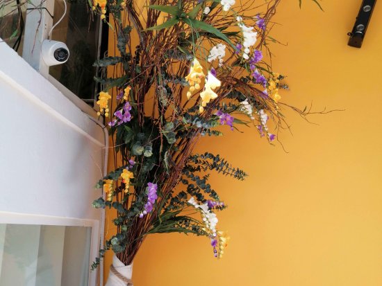 DISH BAR PARTY RESTAURANT