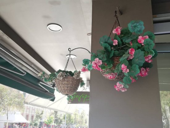 GREGORYS SNACKS & COFFE - FREEDOM SQUARE