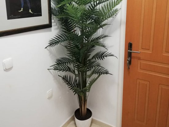 PNEYMONOLOGIST OFFICE - PIGAKIS K.