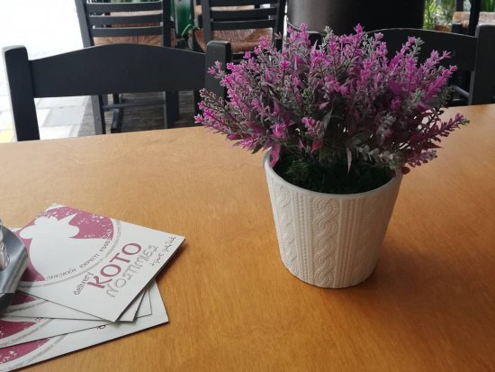 KOTONOSTIMIES CHICKEN EXPERT FOOD