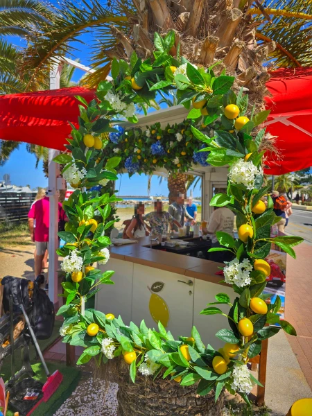 LEMONIS CRETE-4