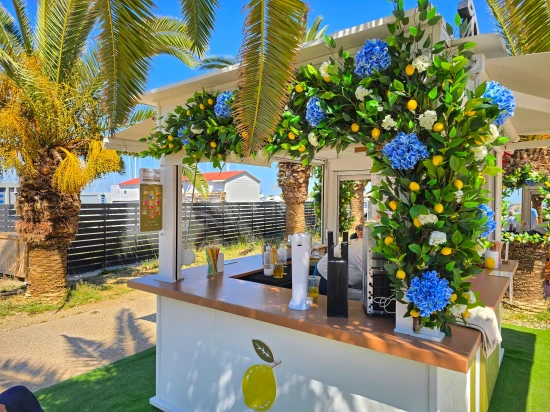 LEMONIS CRETE-3
