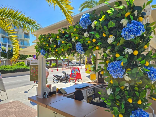 LEMONIS CRETE-2