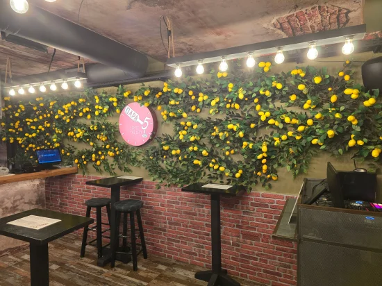 PARA PENTE COCKTAIL BAR-3