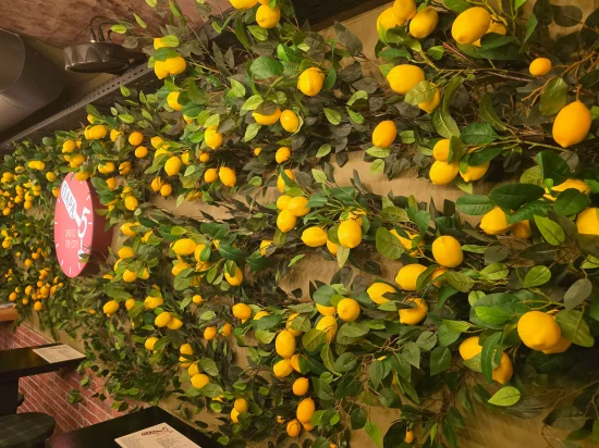 PARA PENTE COCKTAIL BAR-9