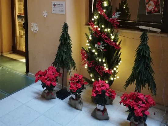 VIKELAIA MUNICIPAL LIBRARY