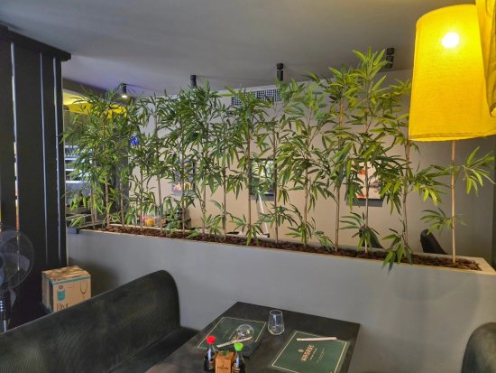 WASABE ASIAN FUSION-5