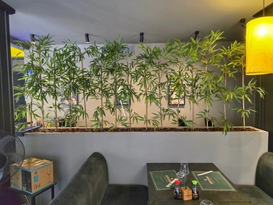 WASABE ASIAN FUSION-7