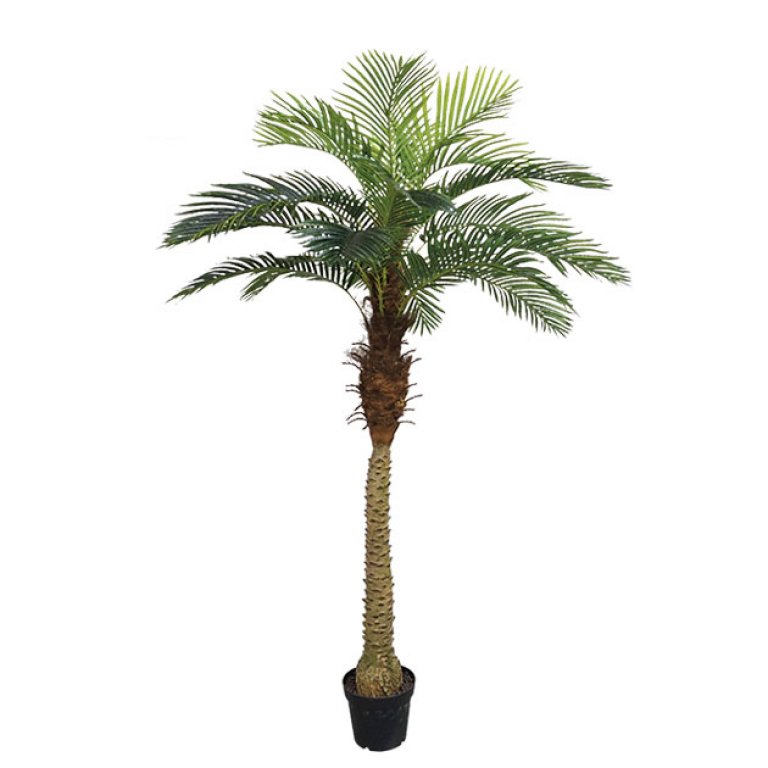 ARTIFICIAL PALM TREE REAL TOUCH 210CM