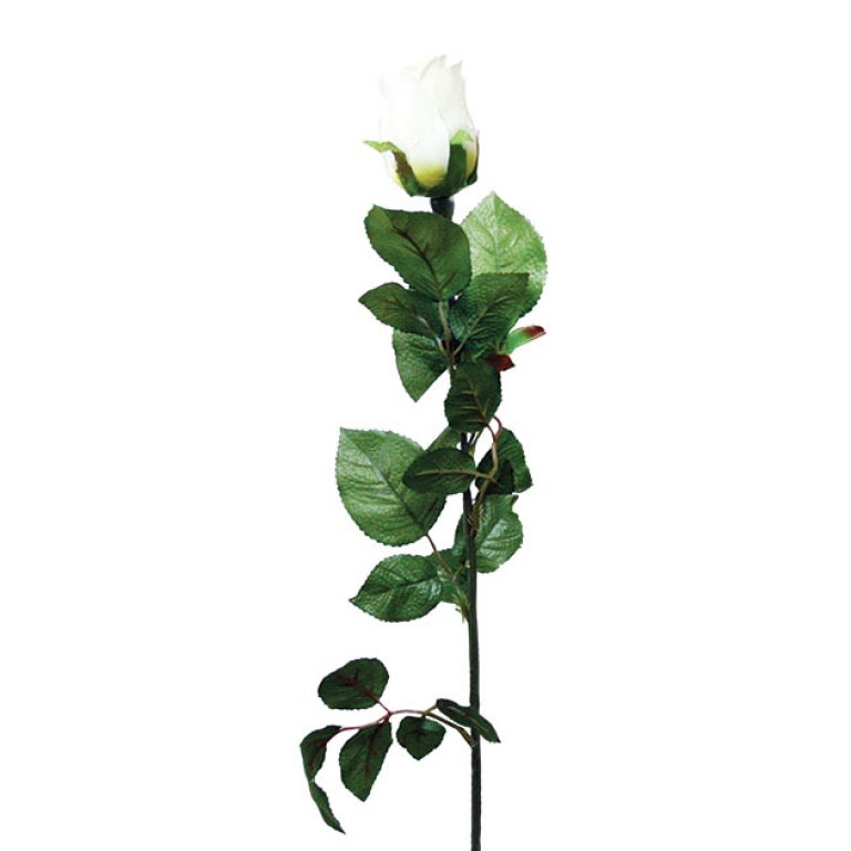 ARTIFICIAL ROSE BRANCH CHAMPAGNE 75CM