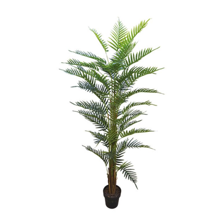 ARTIFICIAL AREKA TREE REAL TOUCH 180CM