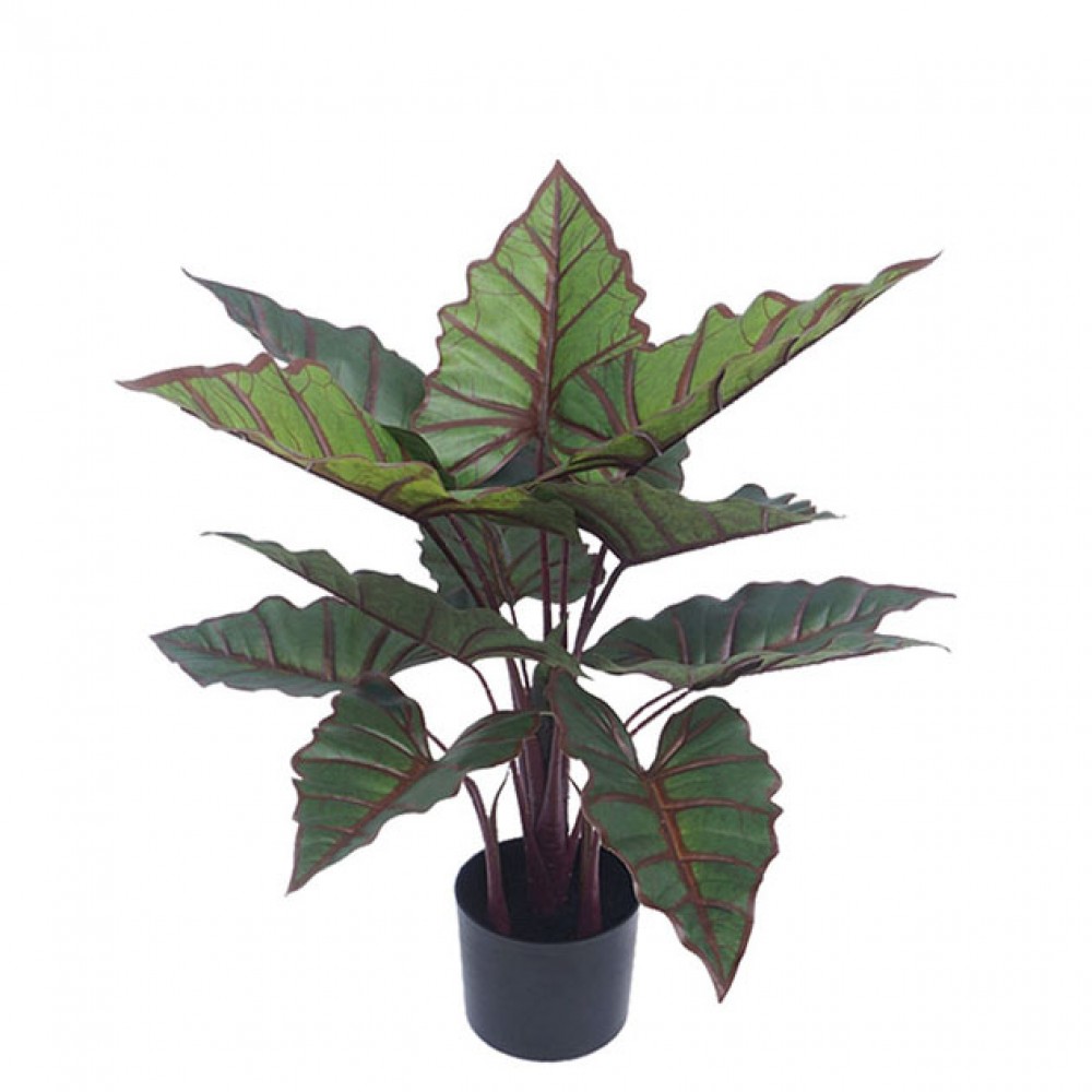 ARTIFICIAL ALOCASIA PLANT REAL TOUCH 73CM