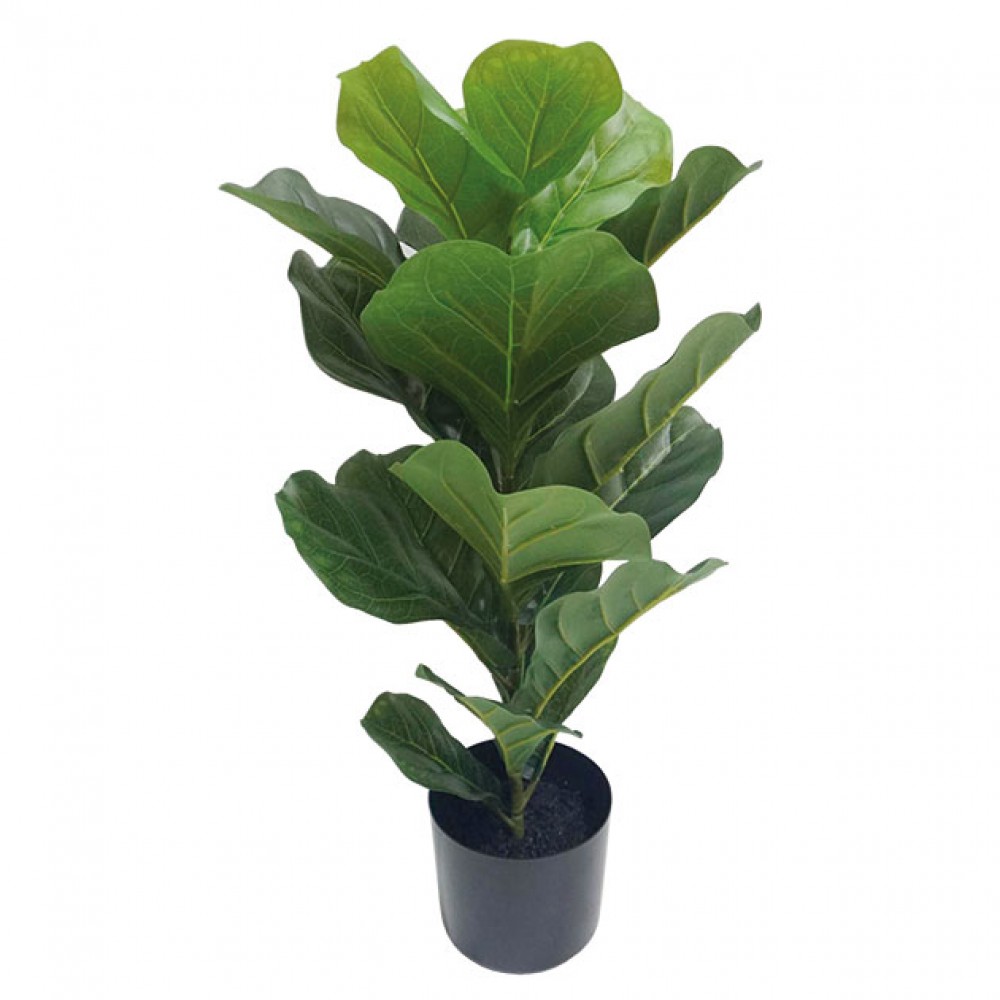 ARTIFICIAL FICUS LYRATA REAL TOUCH 70CM