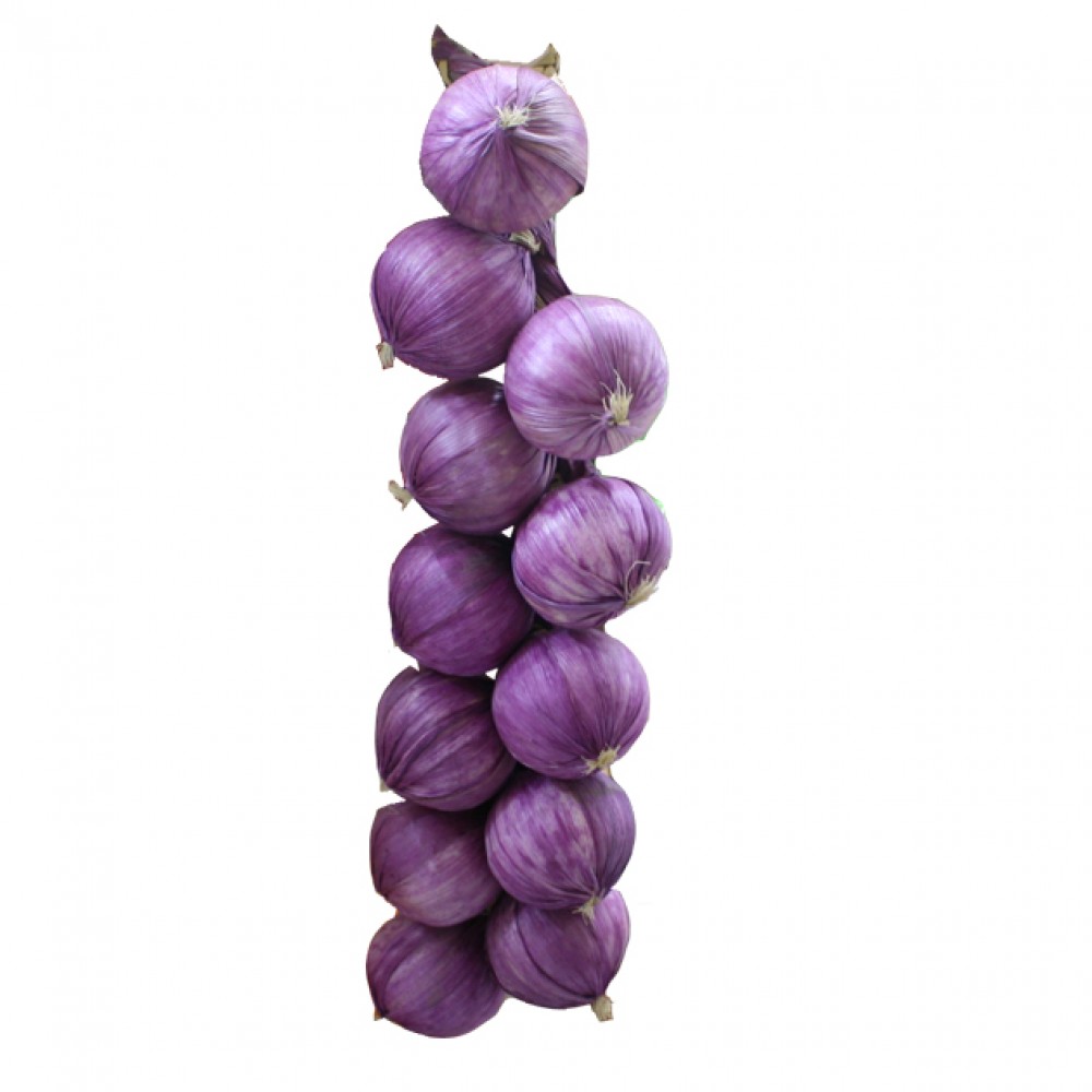 ARTIFICIAL HANGING ONION 38CM