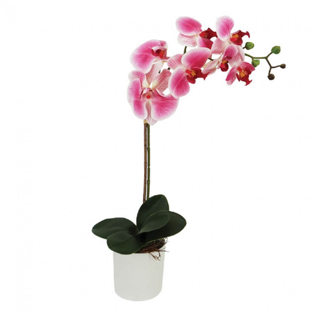ORCHID REAL TOUCH IN FLOWER POT FUCHSIA 47CM