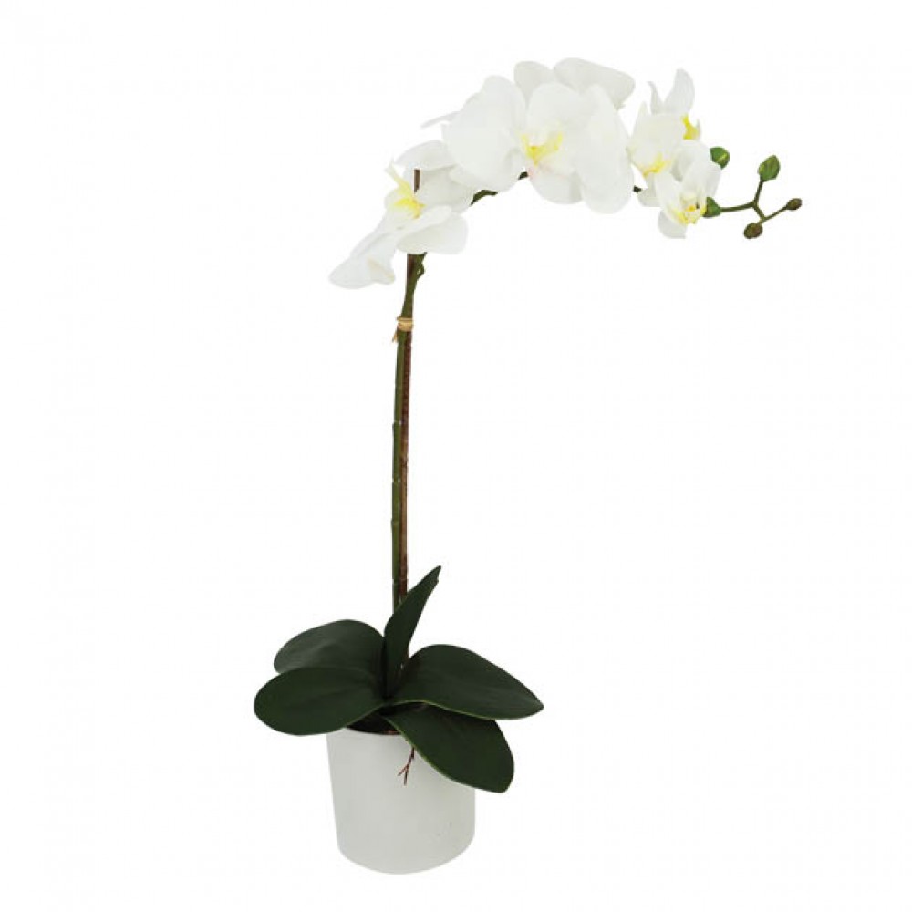 ORCHID REAL TOUCH IN FLOWER POT WHITE 47CM
