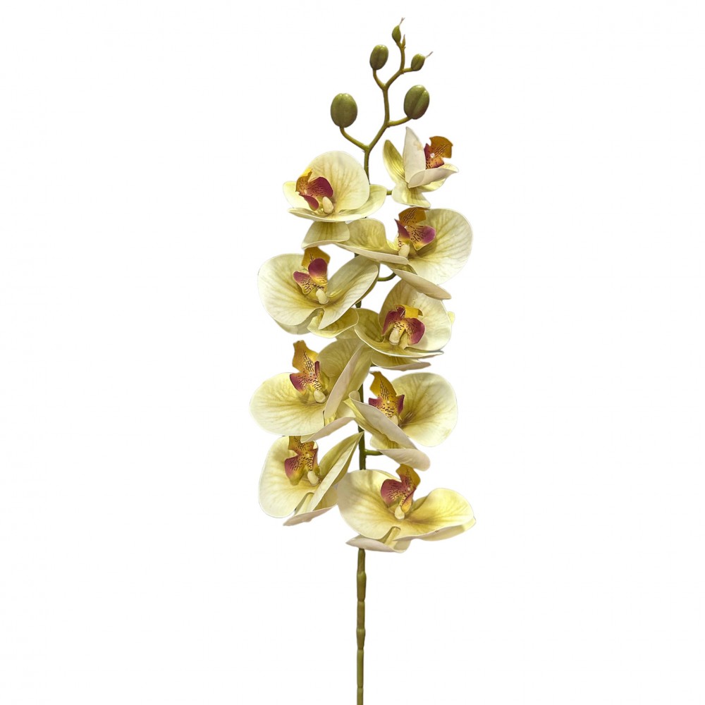 ARTIFICIAL ORCHID BRANCH REAL TOUCH GREEN 94CM
