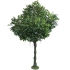 ARTIFICIAL FICUS BENJAMIN TREE REAL TOUCH 300CM