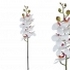 ARTIFICIAL ORCHID BRANCH WHITE-PINK 76CM