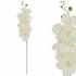 ARTIFICIAL ORCHID BRANCH CHAMPAGNE 90CM