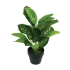 ARTIFICIAL GREENERY PLANT REAL TOUCH 42CM