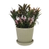 GREENERY IN FLOWER POT WITH PINK FLOWER 24CM