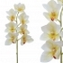 ARTIFICIAL CYMBIDIUM ORCHID BRANCH CREAM REAL TOUCH 62CM