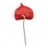 ARTIFICIAL ANTHURIUM BRANCH REAL TOUCH 65CM
