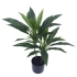 ARTIFICIAL DRACAENA TREE REAL TOUCH 60CM