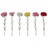 ARTIFICIAL CARNATION BRANCH (6 COLOURS) 54CM