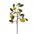ARTIFICIAL LEMON BRANCH REAL TOUCH 73CM