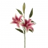 ARTIFICIAL LILY BRANCH REAL TOUCH FUCHSIA 73CM