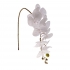 ARTIFICIAL ORCHID BRANCH WHITE 92CM - 2