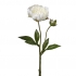 ARTIFICIAL PEONY BRANCH CREAM 49CM
