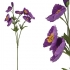 ARTIFICIAL POPPY BRANCH PURPLE REAL TOUCH 65CM