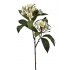 ARTIFICIAL PLUMERIA BRANCH REAL TOUCH CREAM 88CM
