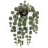 ARTIFICIAL HANGING PEPEROMIA TWO COLOURS REAL TOUCH 75CM