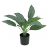 ARTIFICIAL ARROWROOT PLANT REAL TOUCH 44CM.