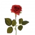 ARTIFICIAL ROSE BRANCH RED 41CM - 1