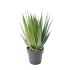 ARTIFICIAL AGAVE PLANT 55CM