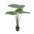 ΤΕΧΝΗΤΟ ΦΥΤΟ ΑΛΟΚΑΣΙΑ ΜΑΚΡΟΡΙΖΗ REAL TOUCH 120ΕΚ.