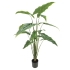 ARTIFICIAL ALOKASIA TREE GREEN REAL TOUCH 180CM