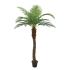 ARTIFICIAL PALM TREE REAL TOUCH 180CM