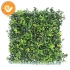 VERTICAL GARDEN WITH FERN 50x50CM