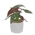 BEGONIA IN FLOWER POT REAL TOUCH 28CM