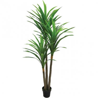 ARTIFICIAL YUCCA TREE REAL TOUCH 200CM - 1