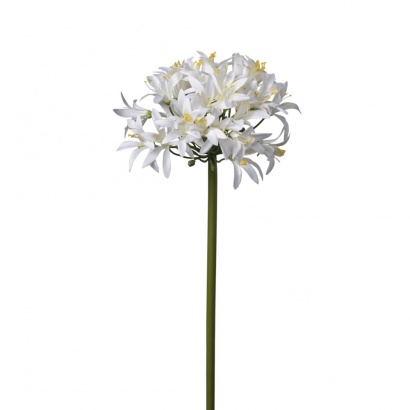ARTIFICIAL AGAPANTHUS BRANCH CREAM 76CM