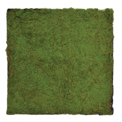 ARTIFICIAL VERTICAL GARDEN MOSS GREEN 100X100CM