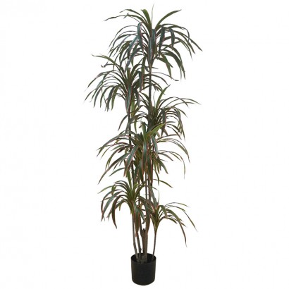 ARTIFICIAL DRACAENA TREE REAL TOUCH 215CM - 1