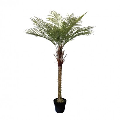 ARTIFICIAL PALM TREE REAL TOUCH 167CM - 1